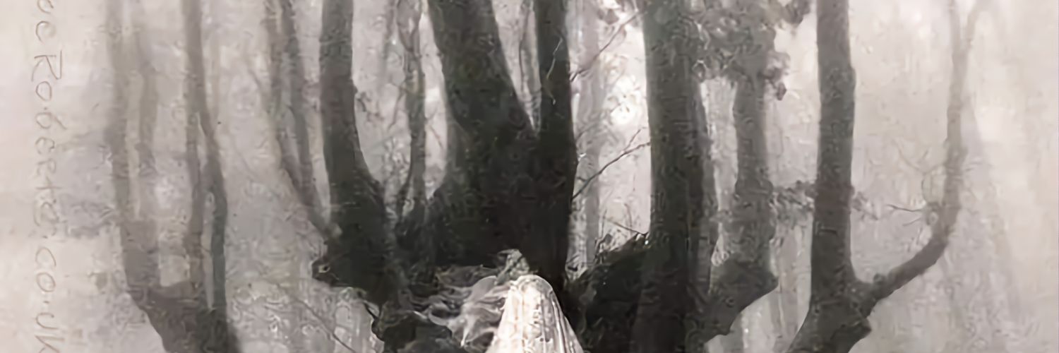 Lemonfreshness's profile banner image
