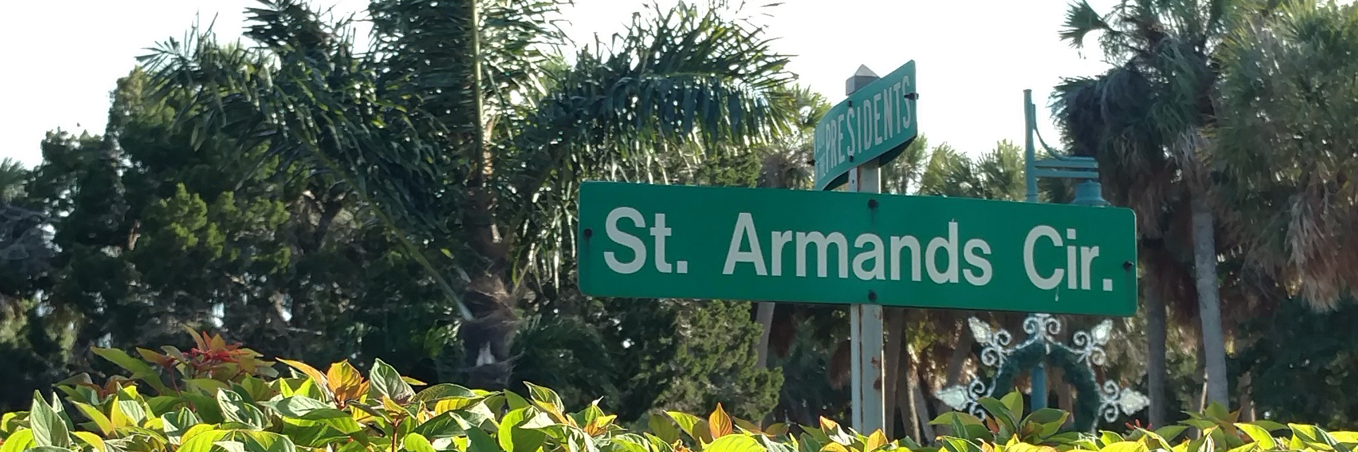 Armand Zerilli banner