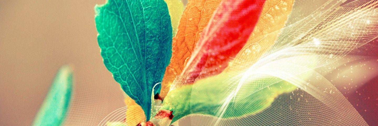 amsuli's profile banner image