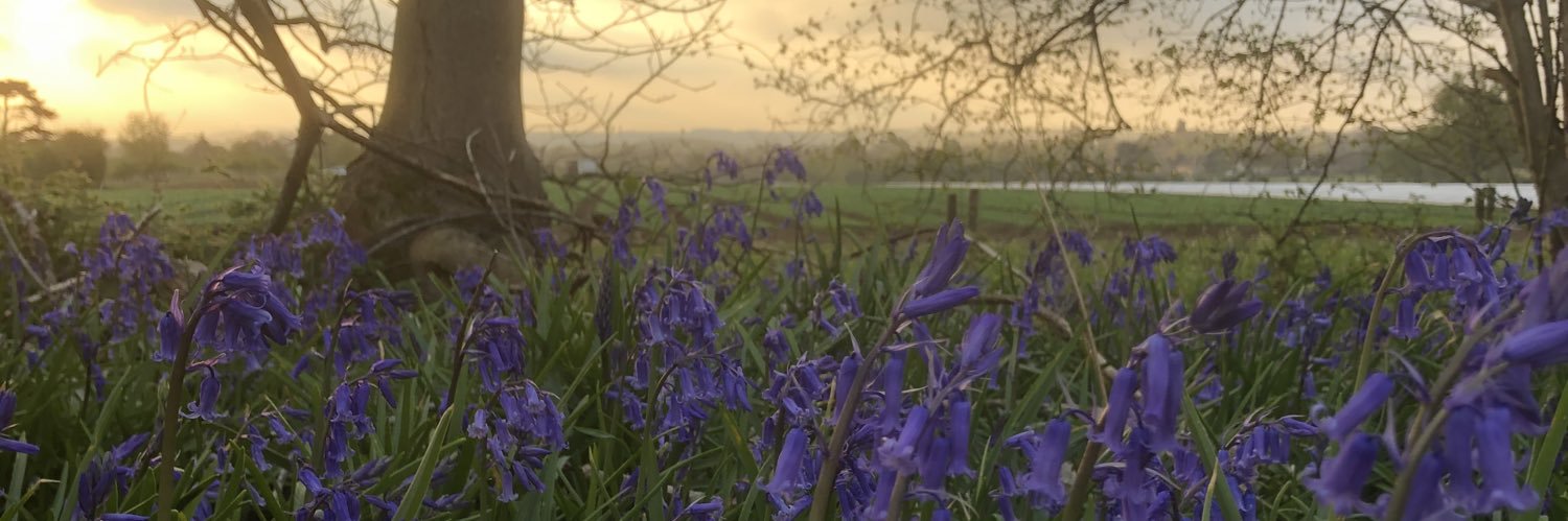 RupertWFurness's profile banner image