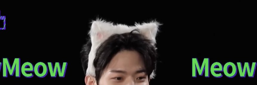 도응 banner