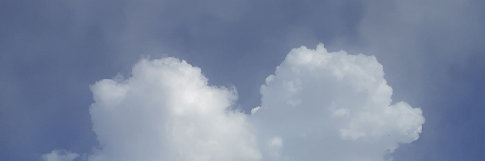 sudowoodo banner