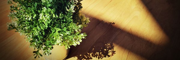 Twenty8ightJAN Profile Banner