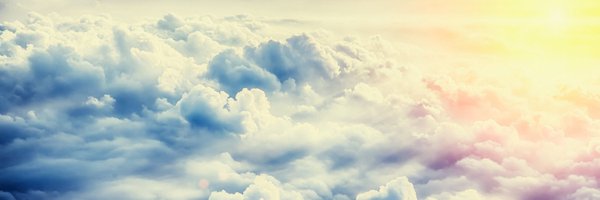 smallbeelte Profile Banner