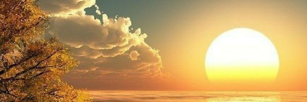 freeboy_24's profile banner image
