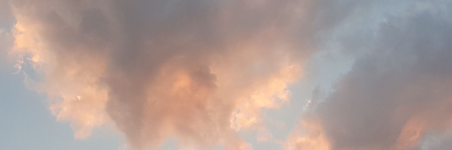 Ben banner