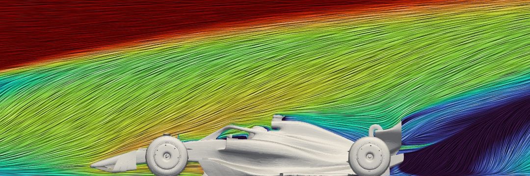 F1 Simba's banner