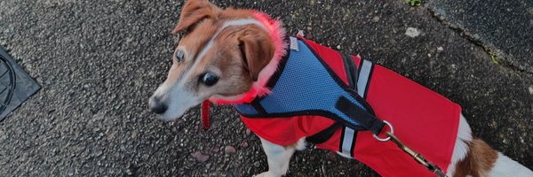 niallsmith91 Profile Banner