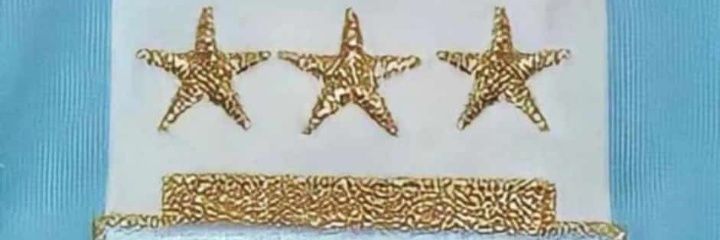 SilvanaRussook's profile banner image