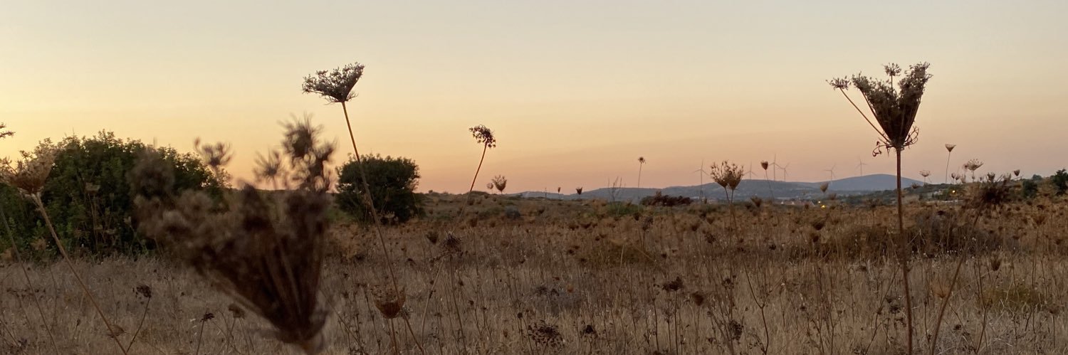 ardasahn_'s profile banner image
