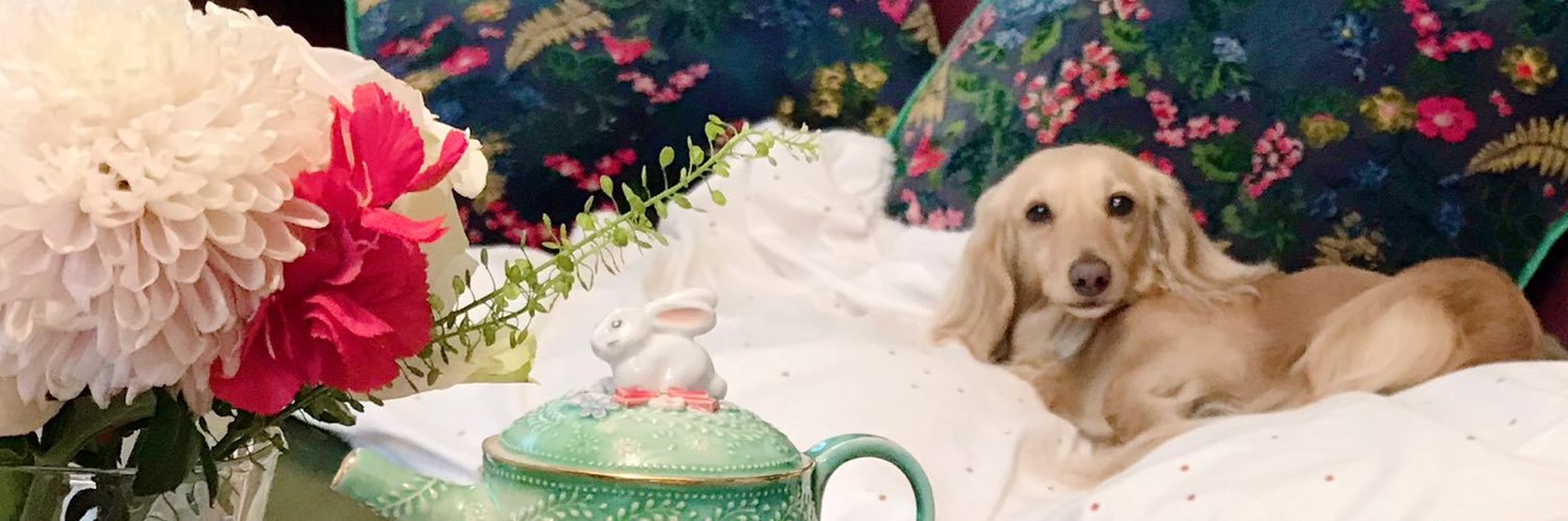 co_mimi's profile banner image