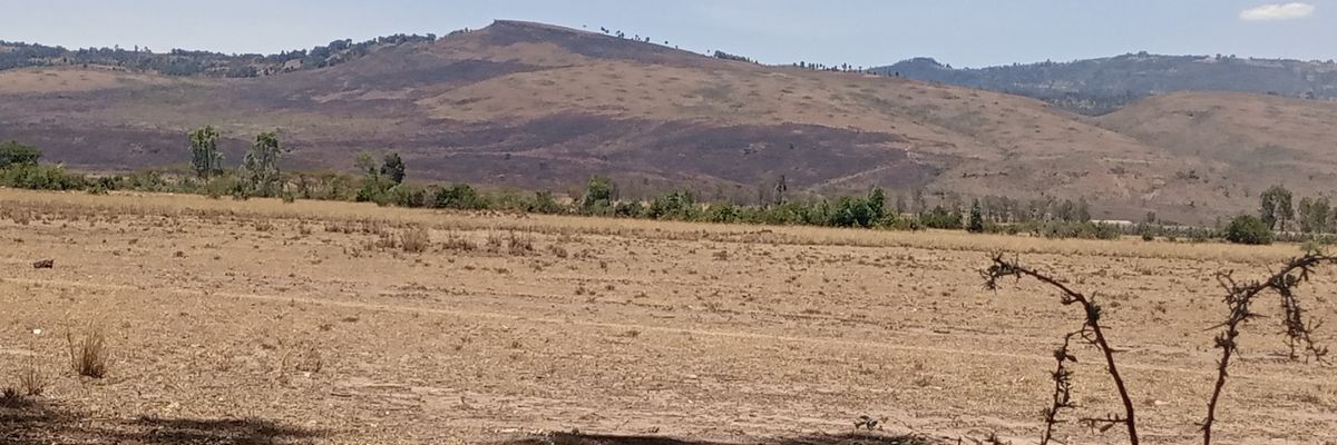 Stevemesa8's profile banner image