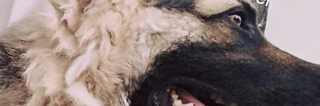 hirforya's profile banner image