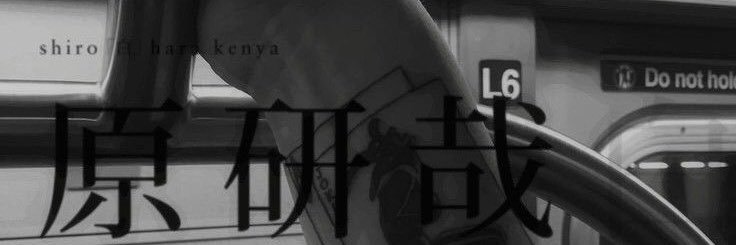 皮塔 banner