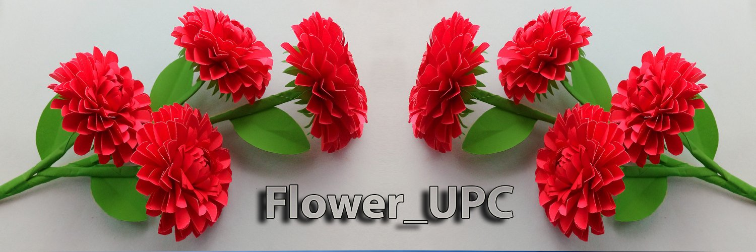 FlowerUPC1's profile banner image