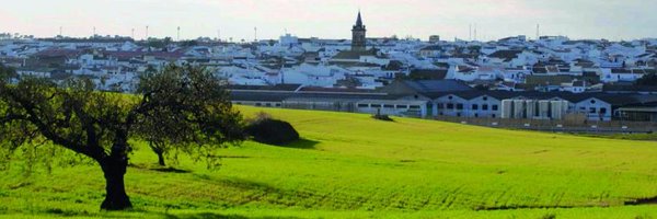 AJSnchezFuentes Profile Banner