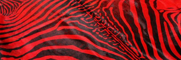 Red 🦓 Zebra Profile Banner