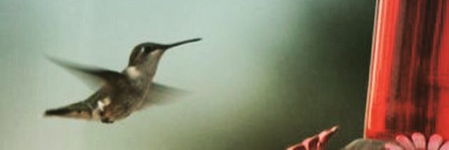 JudithBouwman's profile banner image