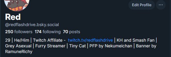 RedFlashDrive Profile Banner