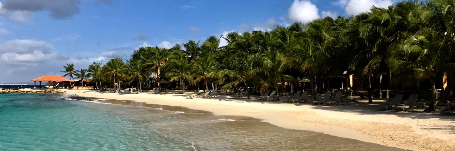 Paul van der Linden banner