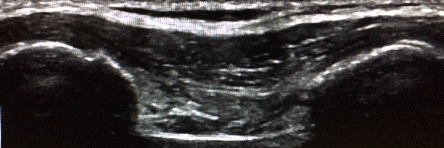 Marla Sammer, MD, MHA, FAAP banner