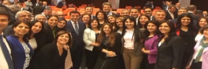 Meral Danış Beştaş's banner