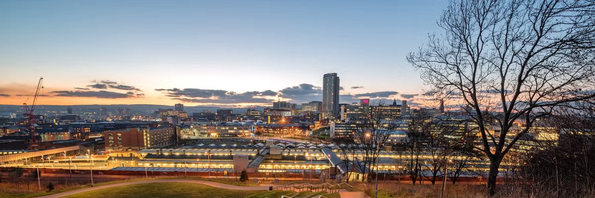 Neil Peter ⚔️ banner