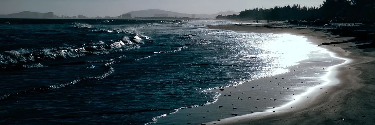 Issie poeta torturada banner