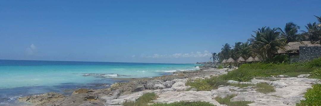 Grichu Castaño banner