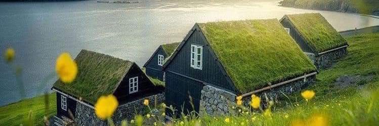 Karakyia 💚🤍💜 banner