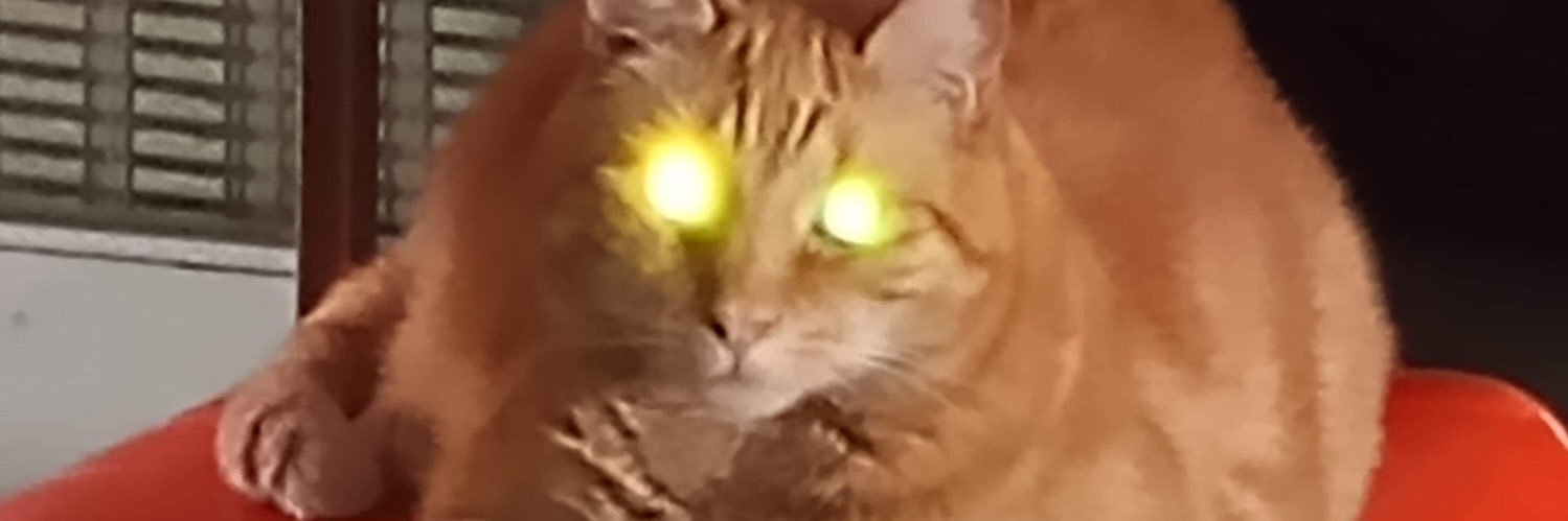 Jezzy_Fezzy's profile banner image
