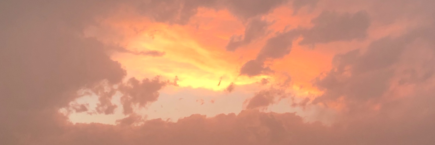 Prezlie4's profile banner image