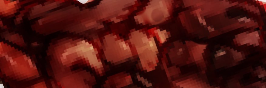 wyrmapalooza's profile banner image
