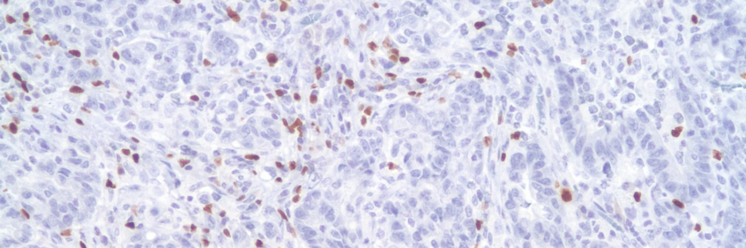 DigestivePathJC banner