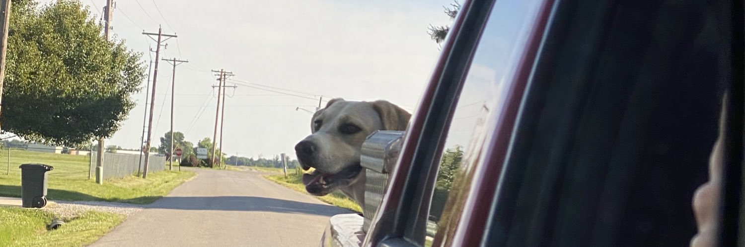 Nicolas Farley banner