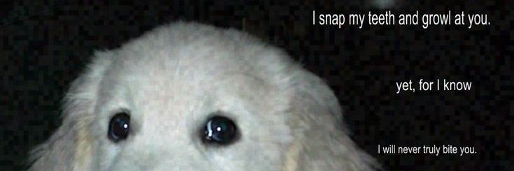 N0thkk's profile banner image