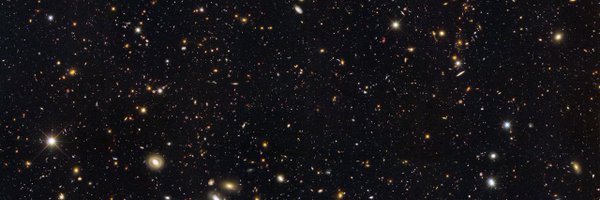 dexiewrites Profile Banner