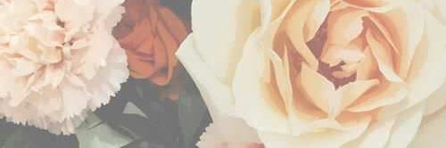 cupcait9's profile banner image