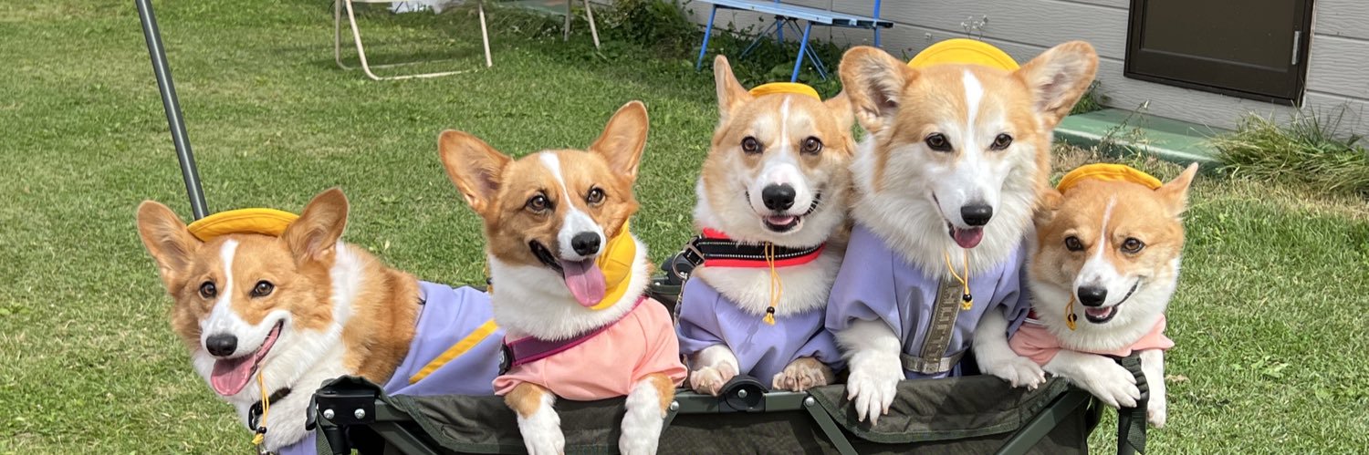 ひなた🐶 banner