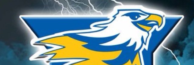 Ferntree Gully FC banner