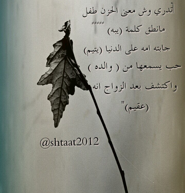 shtaat2012's profile banner image