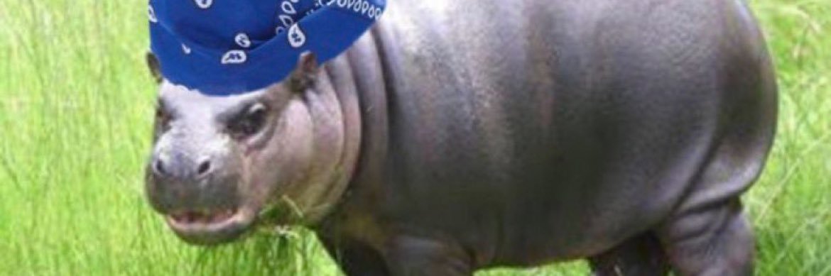 walkemdownnhumpem banner