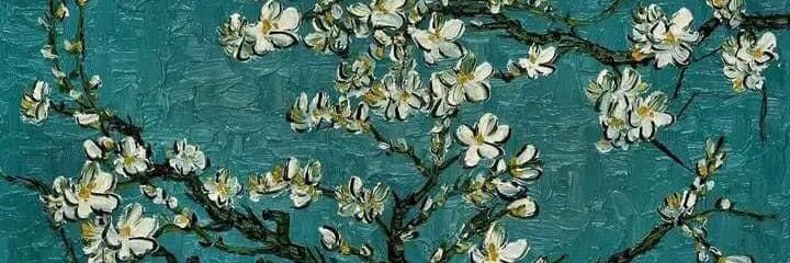 Castillo Marina banner