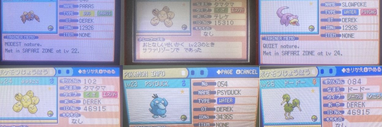ShinyHunter_DD banner