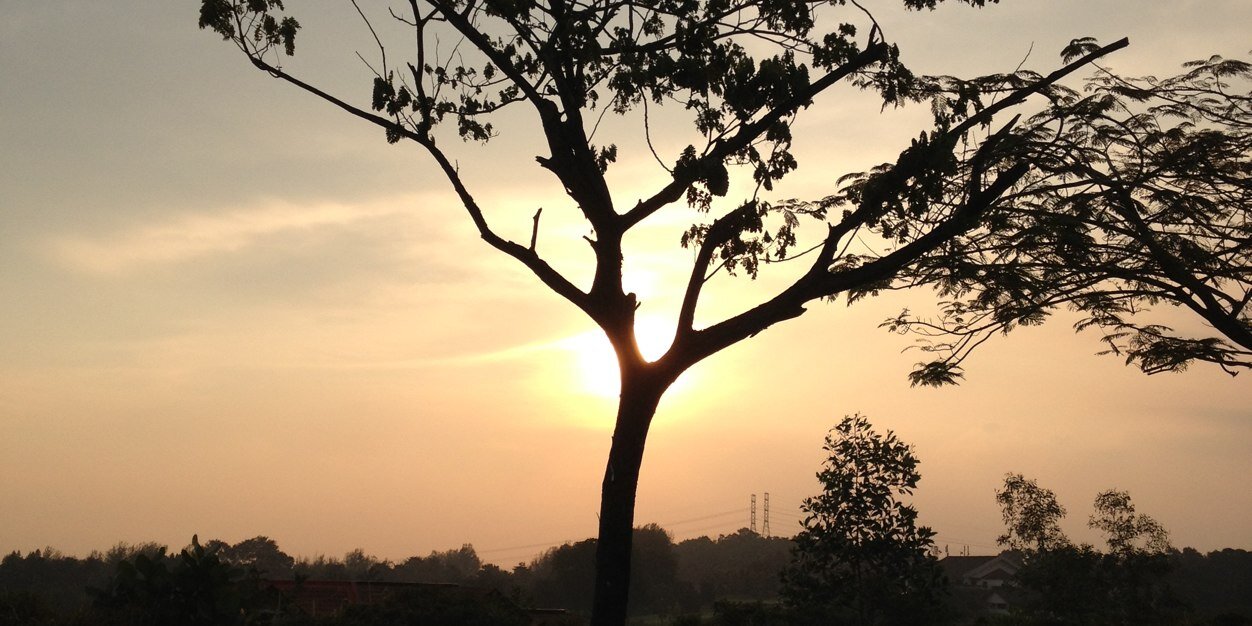 ainihassan's profile banner image