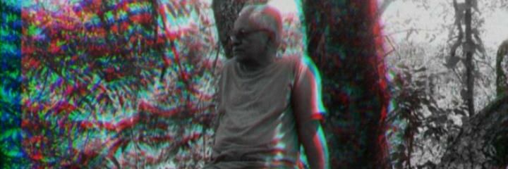 RogerDelicia384's profile banner image