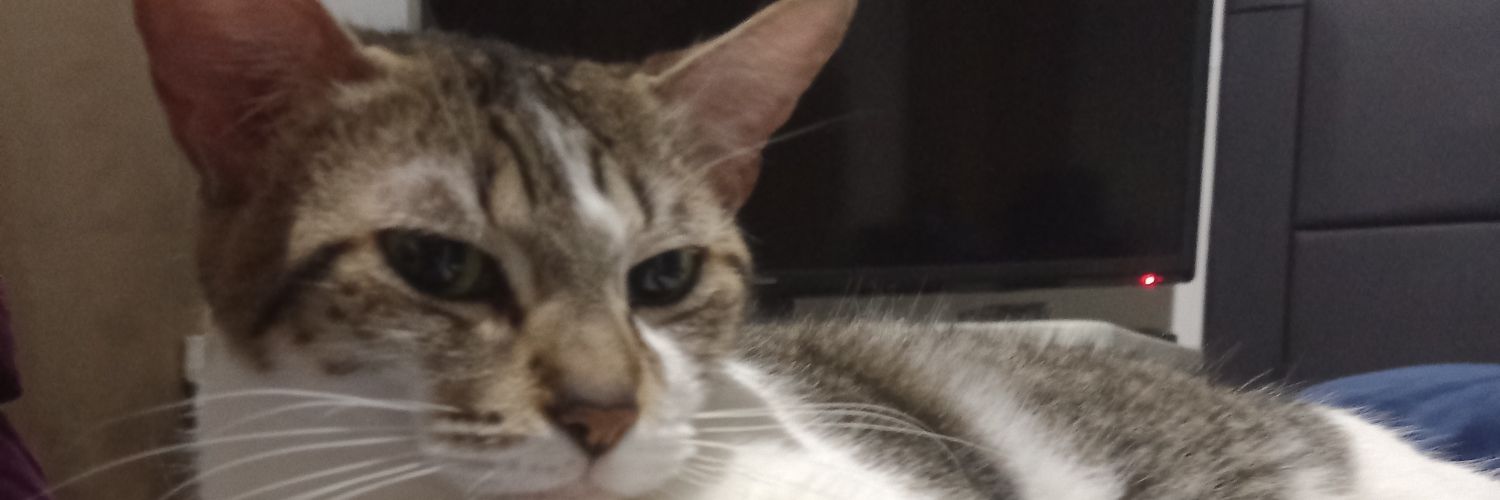 SSoftened's profile banner image