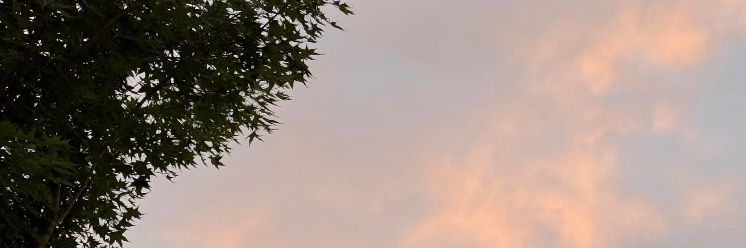 KinacoeR's profile banner image