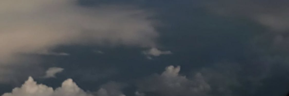 butterflyammora's profile banner image