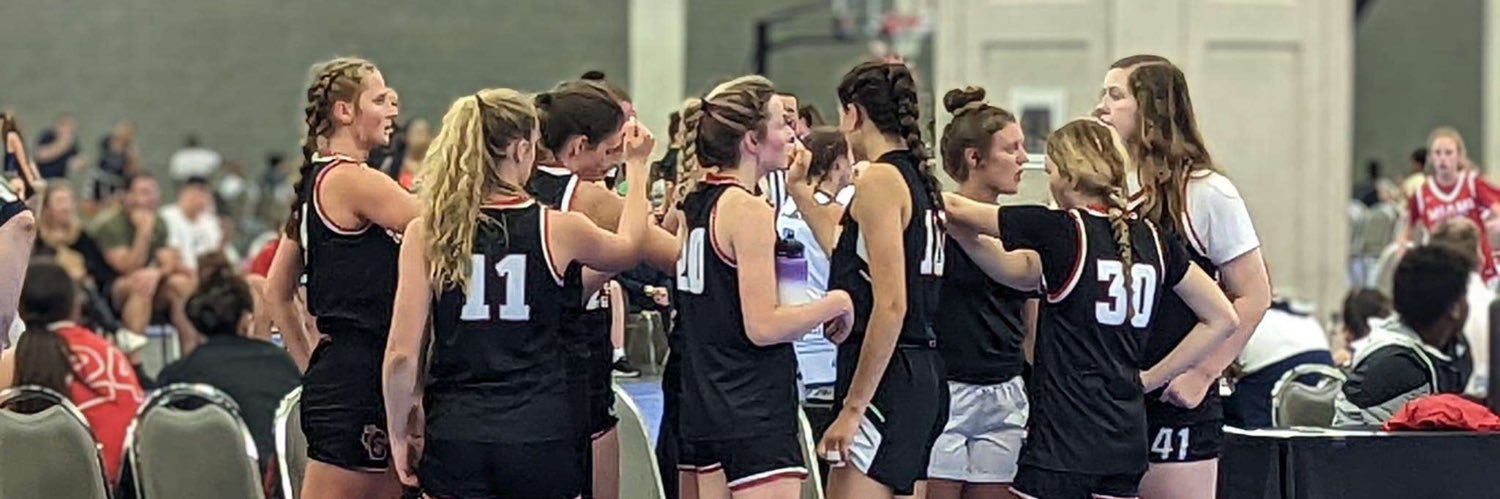 Alexis Pronschinske banner